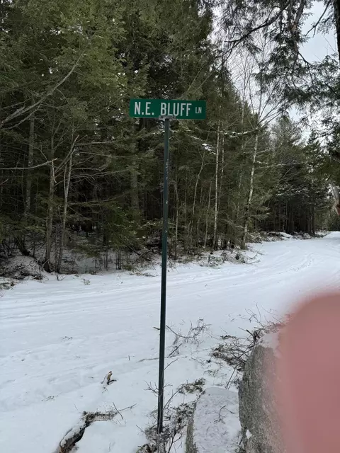Map9lot45 NE Ne Bluff Lane, Beddington, ME 04622