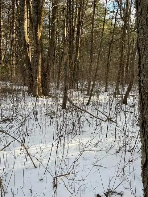 lot S 1 2 Eden Farm Rd, Pownal, ME 04069