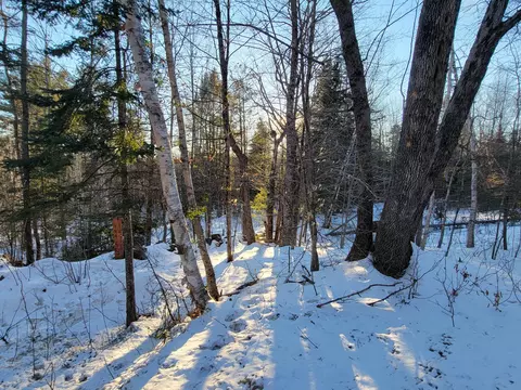 lot26 1 Map 4 Billington Rd, Milo, ME 04463