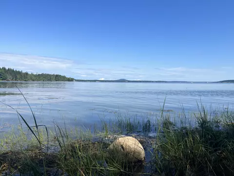 325 Harriman Point Rd, Brooklin, ME 04616