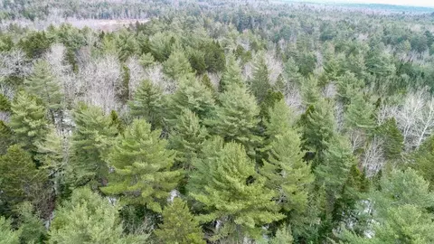 M5 L1-49 Glacier Lane, Northfield, ME 04654