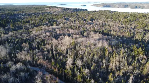 000 Collins Cove Rd, Machiasport, ME 04655