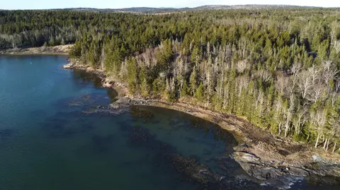 6 Collins Cove Rd, Machiasport, ME 04655