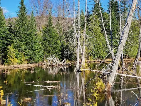 Lot 5 Morrison Brook Acres, Oakfield, ME 04763