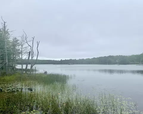 tbd Grindleville Rd, Blue Hill, ME 04614