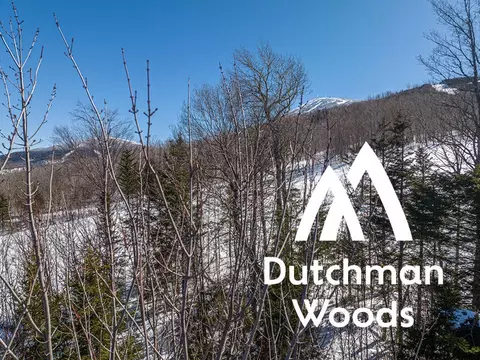R-13 Dutchman Woods, Carrabassett Valley, ME 04947