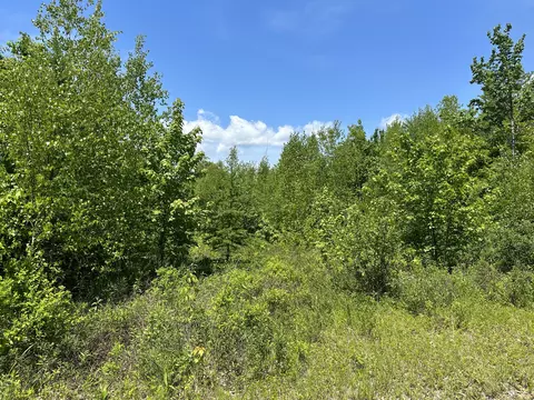 Map7lot64 Blackswoods Road, Franklin, ME 04634