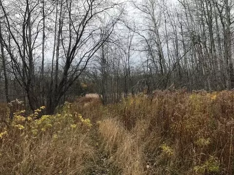 M24 L10 Off Russ Street, Caribou, ME 04736