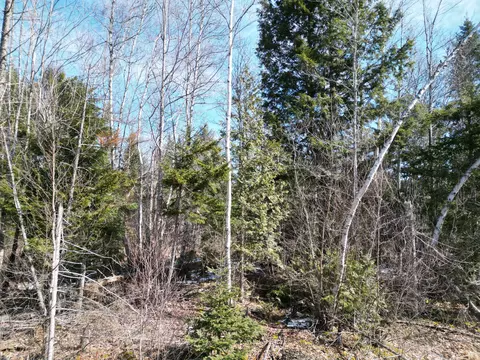 lot2 3 Main Rd, Carroll Plt, ME 04487