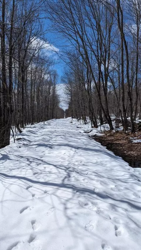 lot9 Pinkham Hill Rd, Phillips, ME 04966