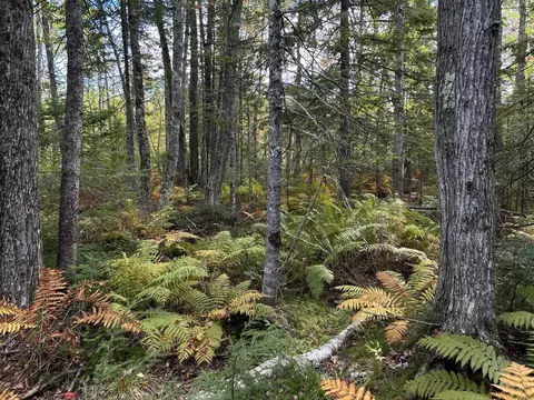 Map4lot17 Village Road, Jackson, ME 04921