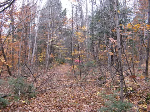 5 Greenwood Road, Peru, ME 04290