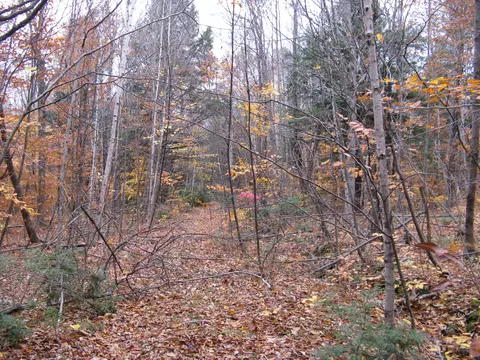 5 Greenwood Road, Peru, ME 04290