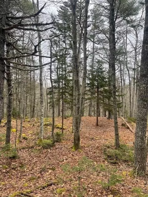 0 Black Spruce Rd #LOT 7, Bristol, ME 04539