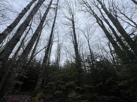 00 Pleasant St, Penobscot, ME 04614