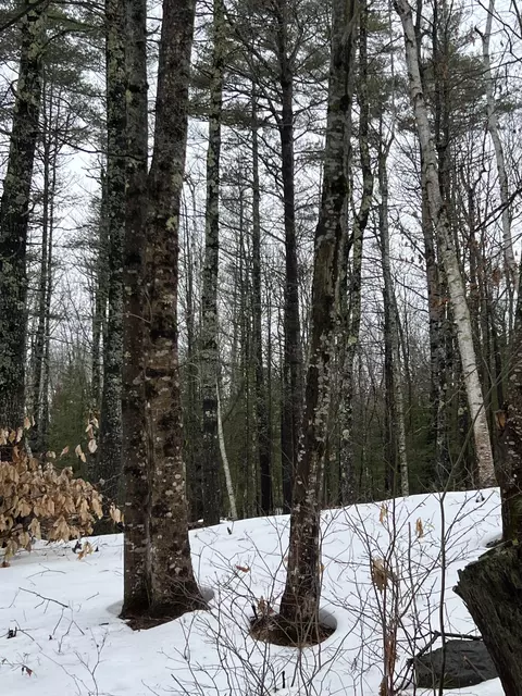 lot46 4 Middle Rd, Waterboro, ME 04061
