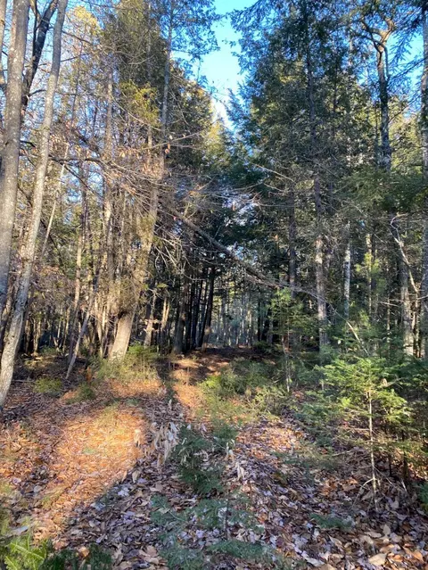P/o M2 L31 Walker Road, Madison, ME 04950
