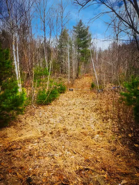 53 Sokokis Trl, Cornish, ME 04020