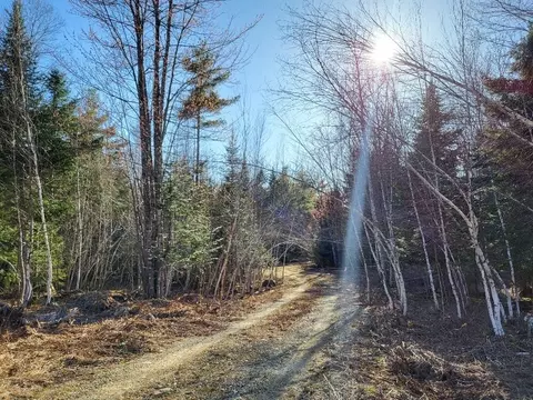 lot17 M14 L15-3 Coburn Rd, Carthage, ME 04224