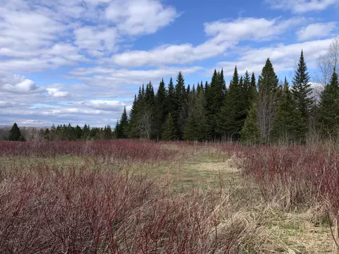 Map3lot22 Campground Road, Caribou, ME 04736