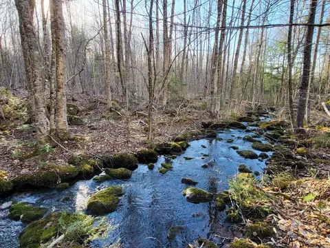 Lot 8 Morrison Brook Acres, Oakfield, ME 04763