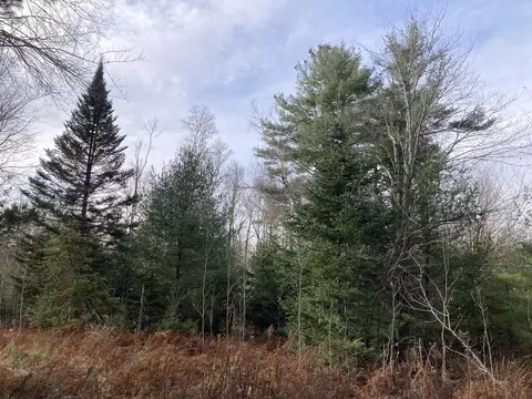 57 Muzzy Ridge Road, Searsmont, ME 04973