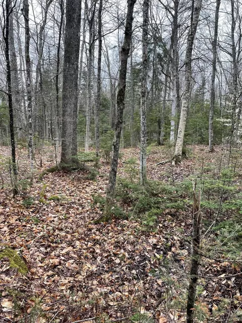 9 Heald Pond Rd, Moose River, ME 04945