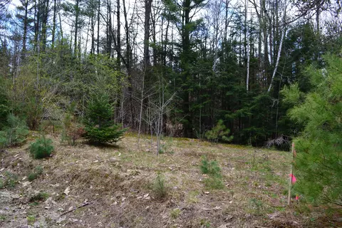 lot10 Howe Hill Rd, Greenwood, ME 04255