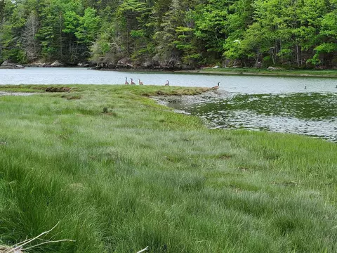 131 River Rd, Edgecomb, ME 04556