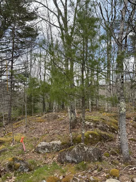 lot9 Aspen Dr, South Thomaston, ME 04858