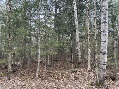 239 New Camp Rd, Lincoln, ME 04457