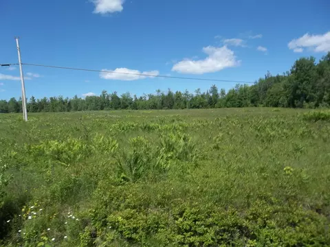 Undisclosed, Cooper, ME 04657