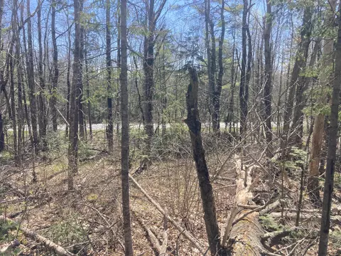 M3l28-a Savery Rd, Searsport, ME 04974