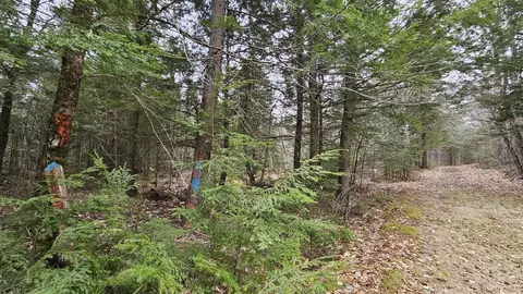 M6l22 Isthmus Road, Charleston, ME 04422
