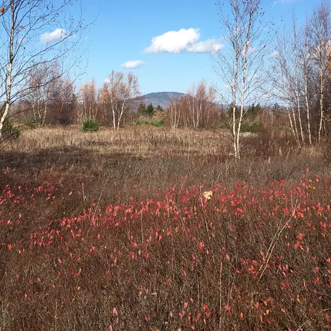 08-02 A Sedgwick Ridge Rd, Sedgwick, ME 04676