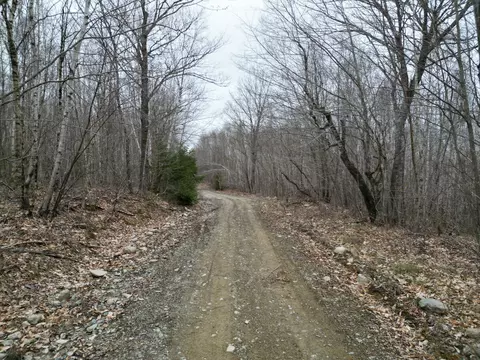lot45 Scraggly Lake Rd, Carroll Plt, ME 04487