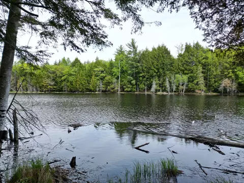 lot6 Run Around Ln, Howland, ME 04448