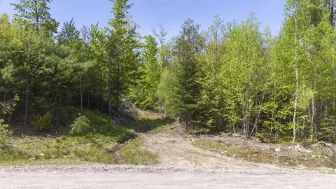lot39 Grover Hill Rd, Bethel, ME 04217