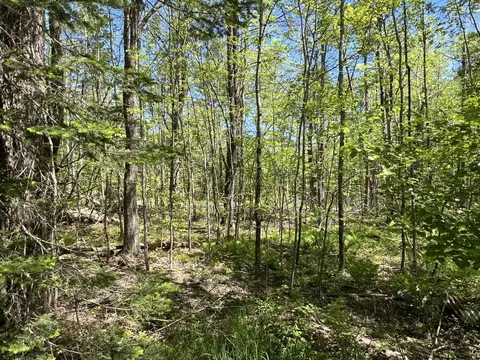 lot A-1 Cathedral Pines Rd, Damariscotta, ME 04543