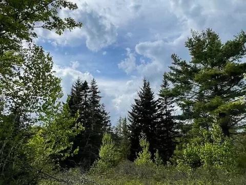 Map5 Lot6 Youngs Cove Road, Pembroke, ME 04666