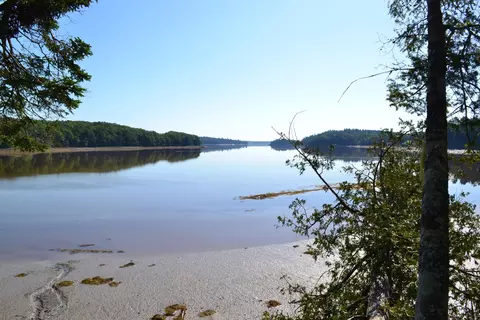 lot1 Foster Ln, Dennysville, ME 04628