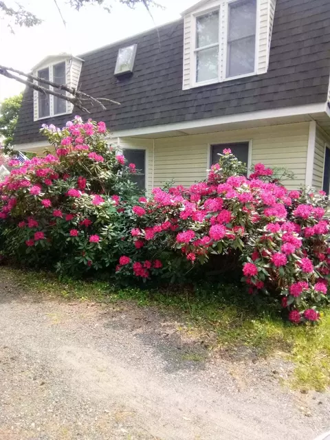 274 Buck St, Bangor, ME 04401