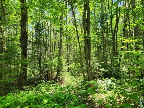 lot1 Atkins Rd, Jefferson, ME 04348