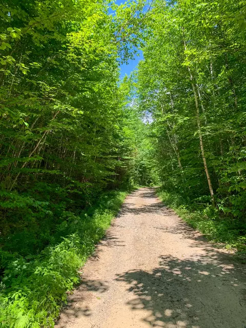 M6l32 Timberland Pass, Dixfield, ME 04224