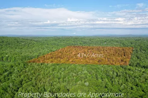 lot16 Torrey Hill Rd, Turner, ME 04282