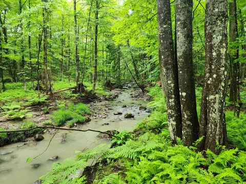 lot12 Canton Mountain Rd, Jay, ME 04239