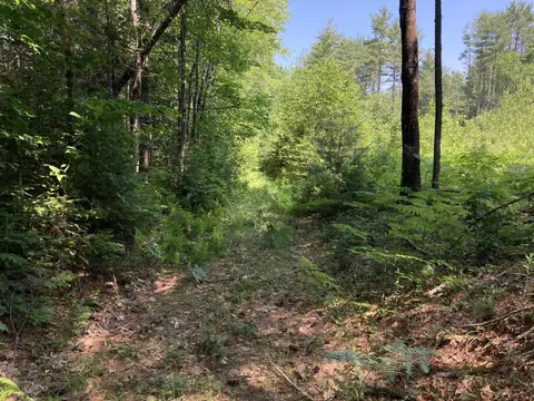Map1lot43 French Settlement Road, Canaan, ME 04924