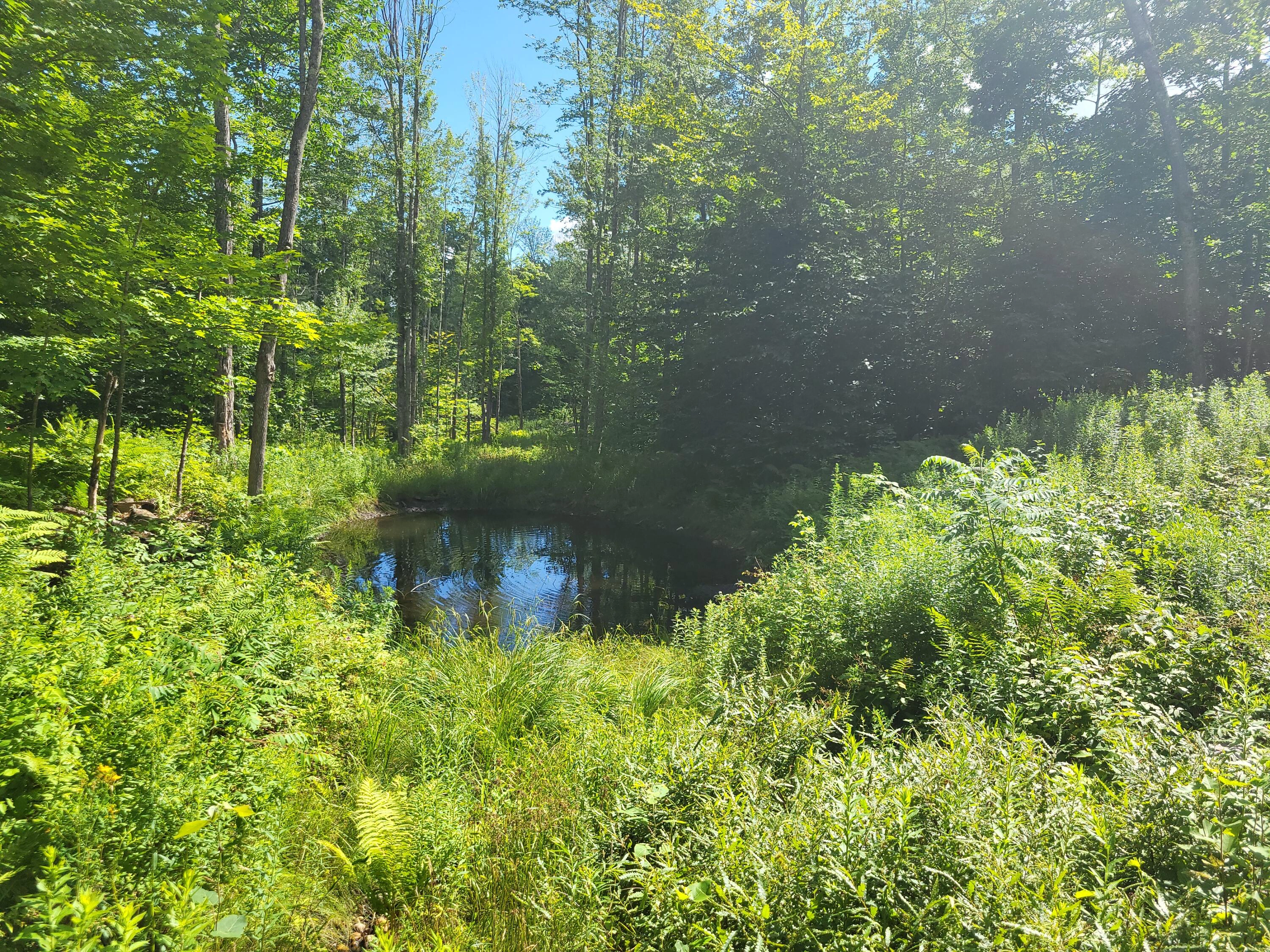 lot39 Tripptown Rd  