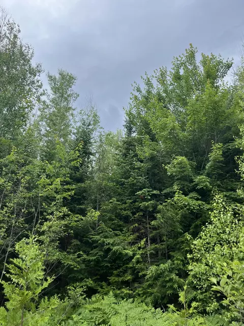 Lot 3 Cobblestone Ridge Subdivision, Milford, ME 04461