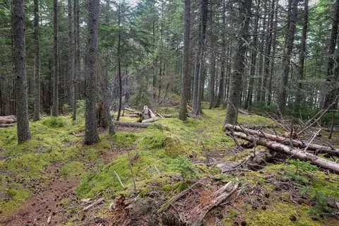 M4 L18 South Deer Isle Road, Deer Isle, ME 04627